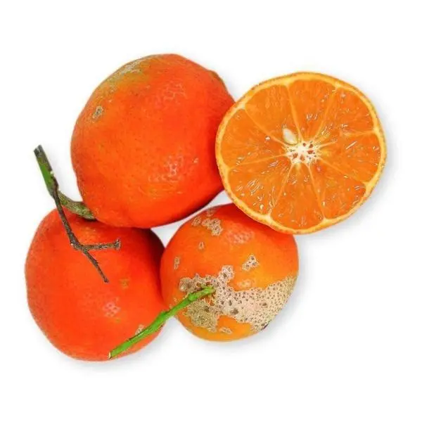 Limão Cravo 500g