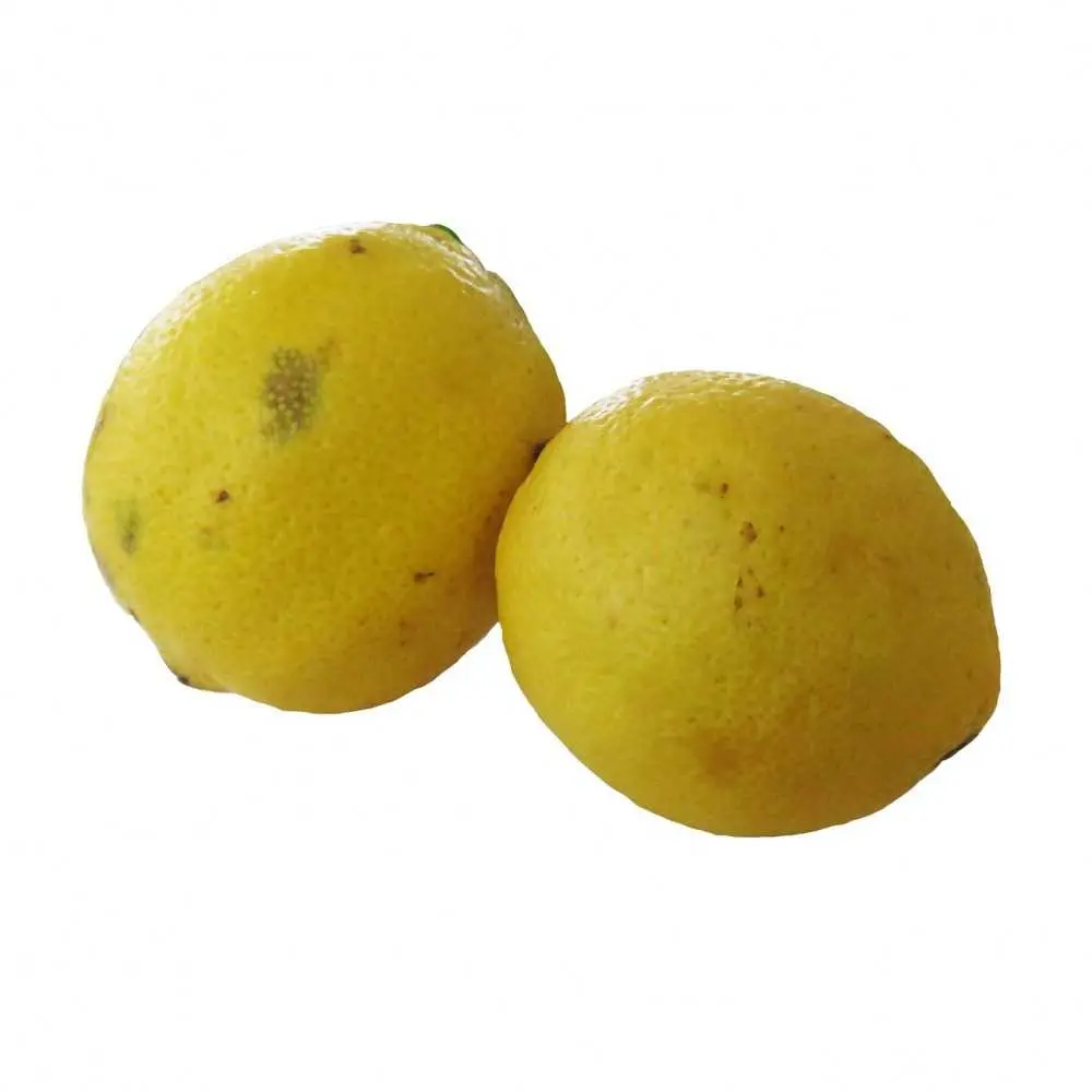 Limão Siciliano 500g