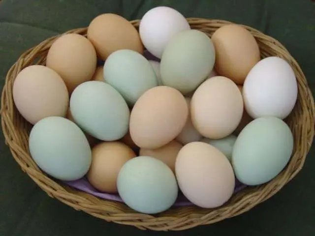 Ovos Caipira (dúzia)