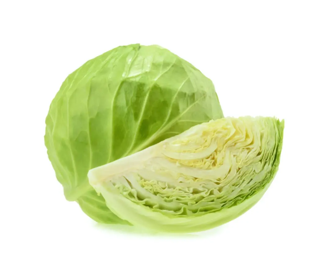 Repolho Verde und