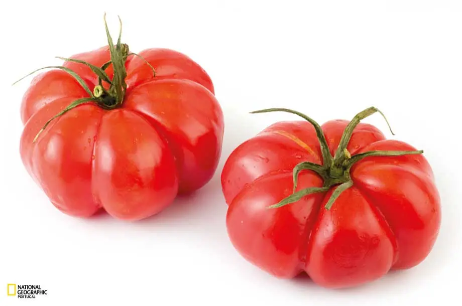 Tomate Mediterrâneo 500g